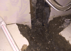 肇源卫生间测漏水哪家好