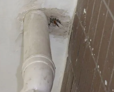 肇源漏水检测哪家好